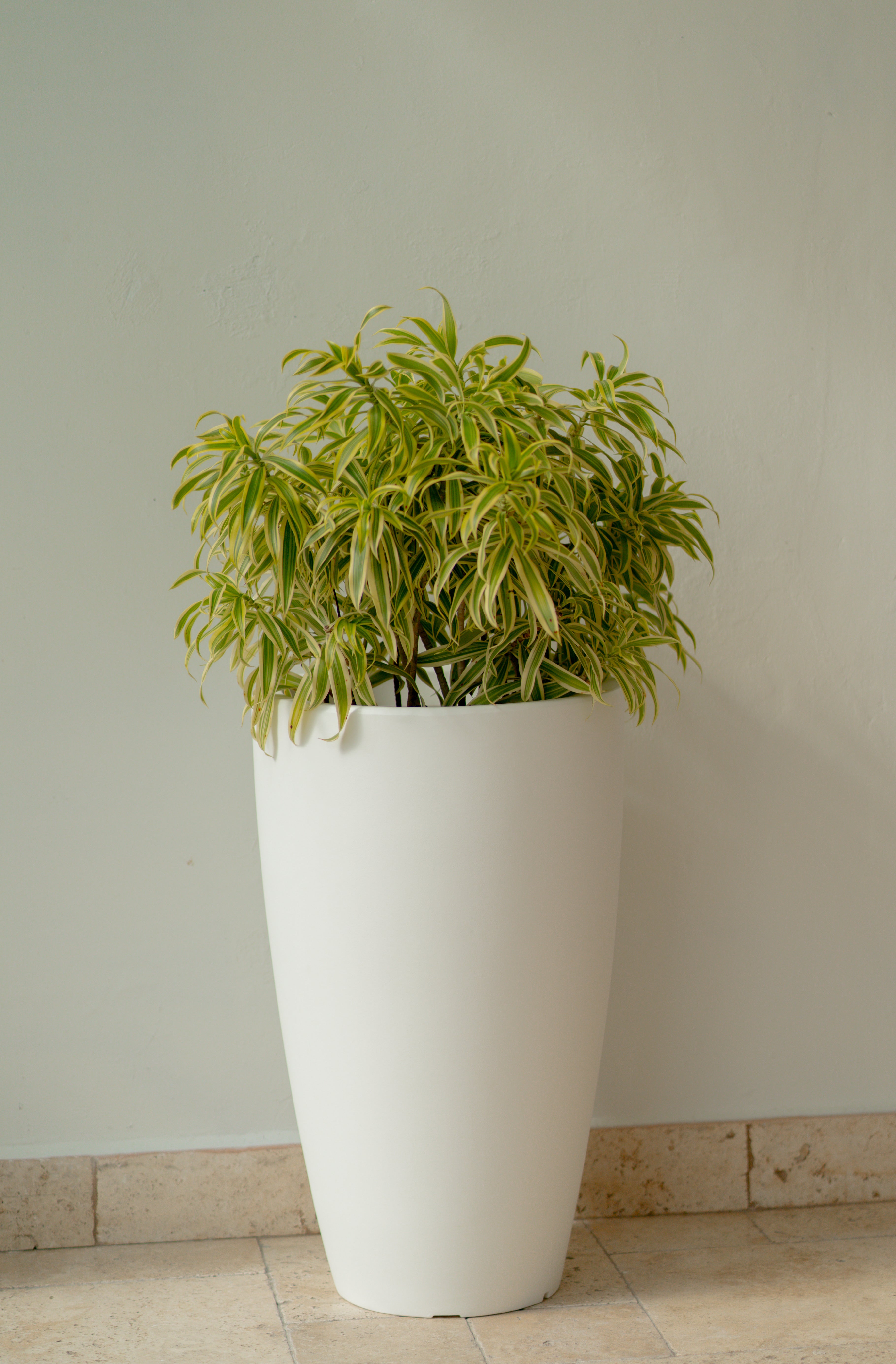 MEDIUM Cone European Planter / Pot in High Quality PVC in White and Navy Blue