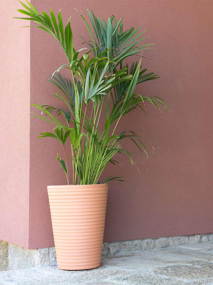 Ribbed Conic Planter/Pot