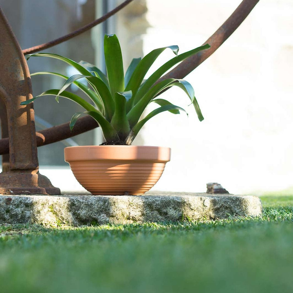 Ribbed Bowl Planter/Pot