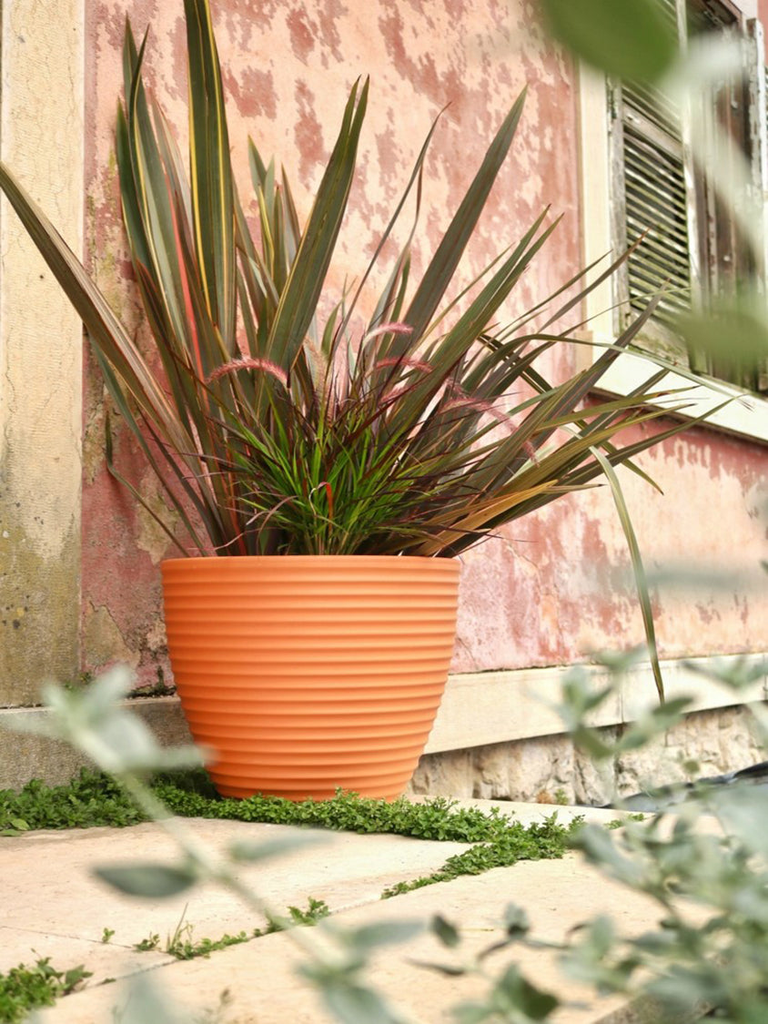 Ribbed Tulip Planter/Pot